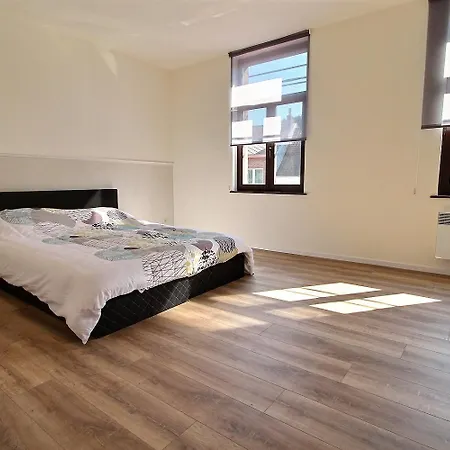 Orléan 41 C Centre-gare-aéroport Charleroi